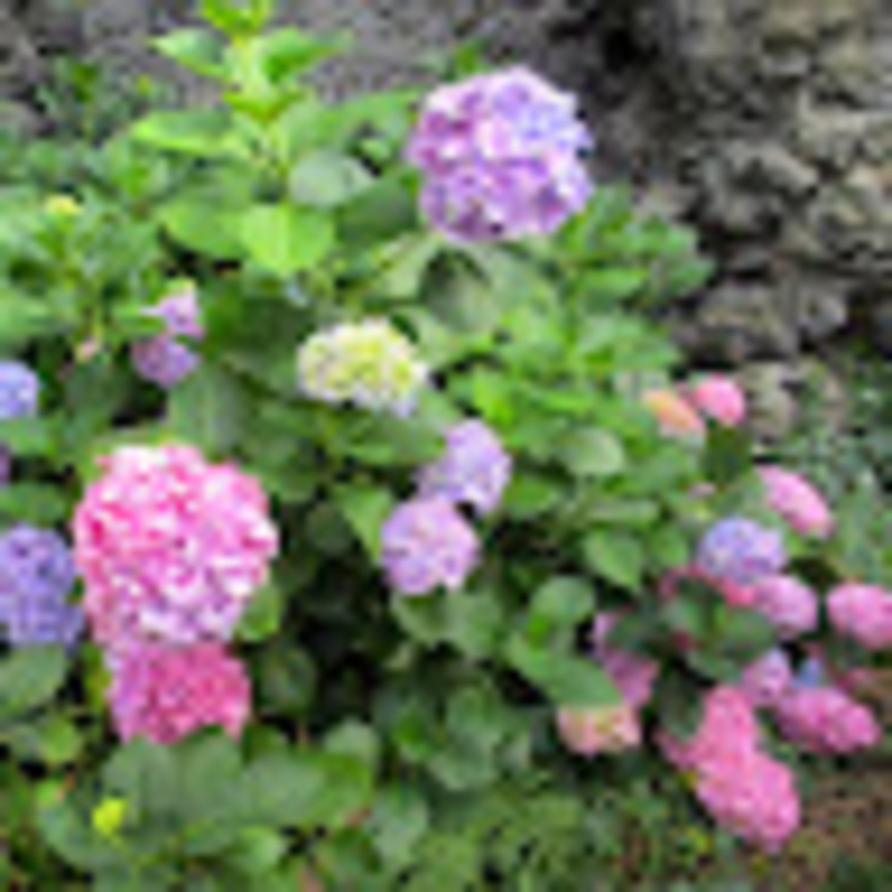 Meet your Posher, Terri